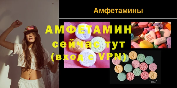 индика Абаза