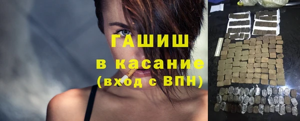 индика Абаза