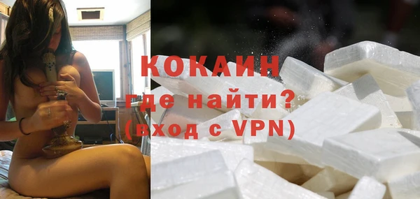 индика Абаза