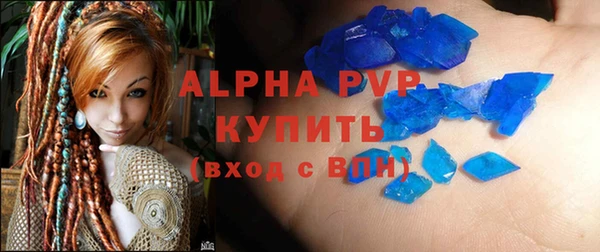 индика Абаза