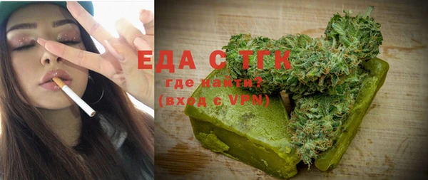 индика Абаза