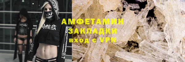 индика Абаза