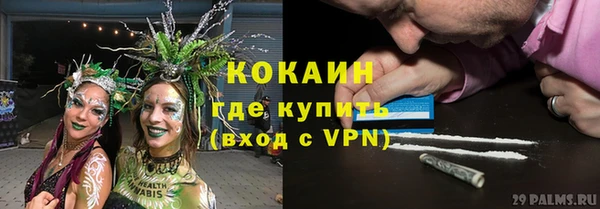 индика Абаза
