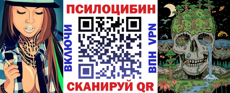 продажа наркотиков Староминская OMG зеркало Галлюциногенные грибы Cubensis